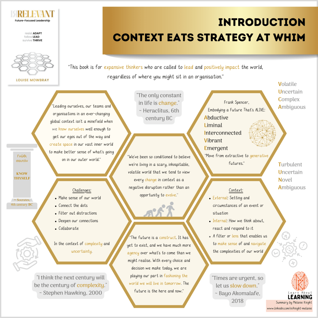 Relevant: Future-Focused Leadership, by Louise Mowbray (Introduction)